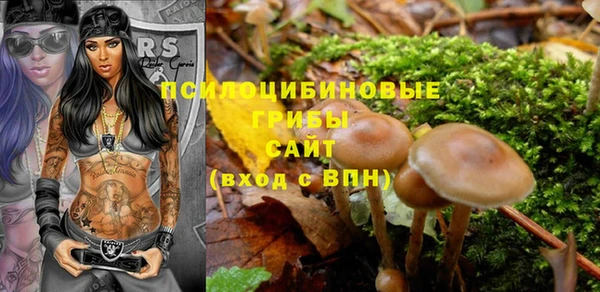 крисы Нея