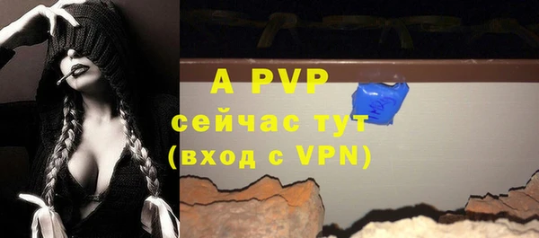 крисы Нея