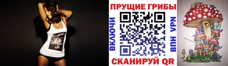 Галлюциногенные грибы мухоморы  купить наркотик  Олонец 